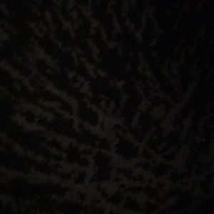 Meet your Posher, Treyson